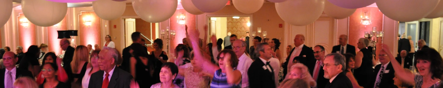 Elegant social events, chicago and suburbs, schaumburg, vernon hills, waukegan, aurora